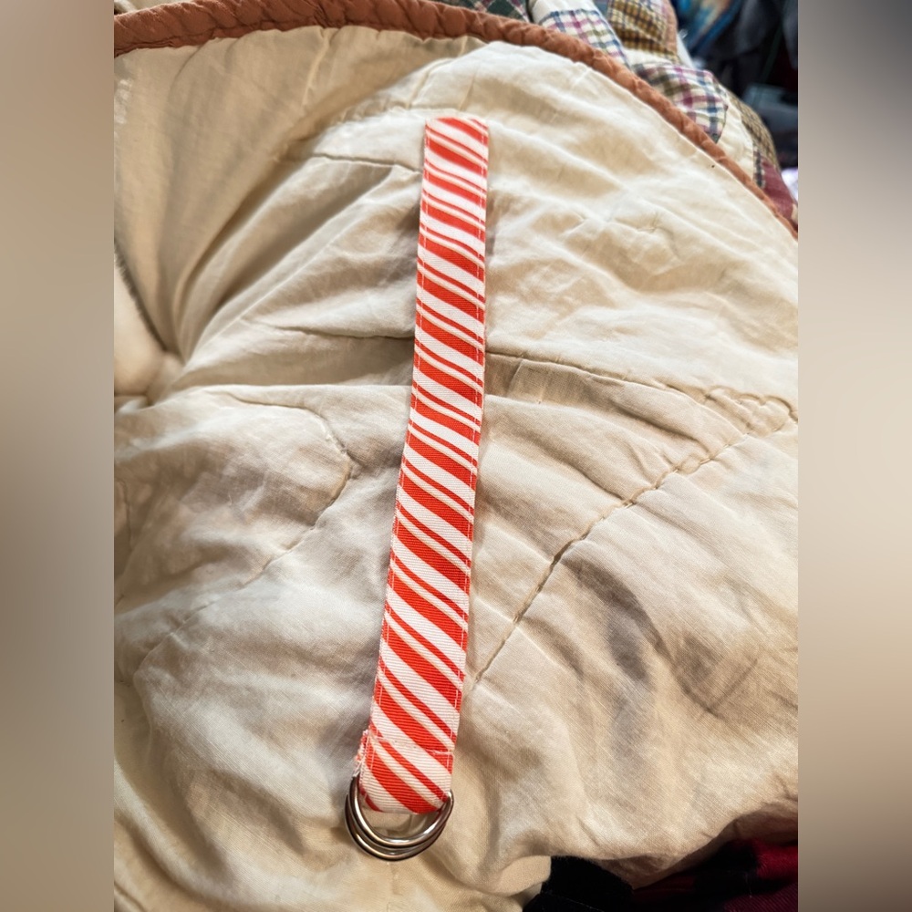 Red and White Striped SWAP WATCH BAND with D-Ring NEW